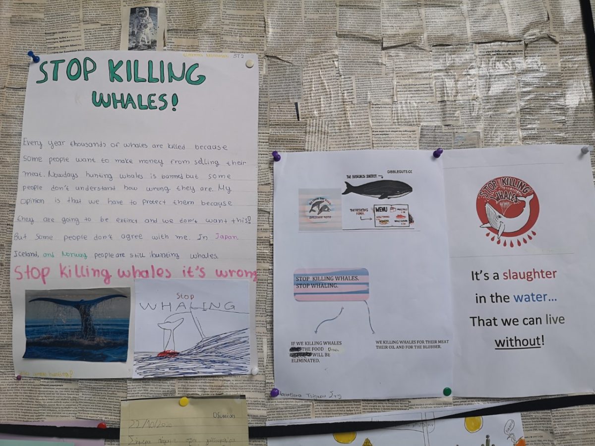 Project against whale hunting